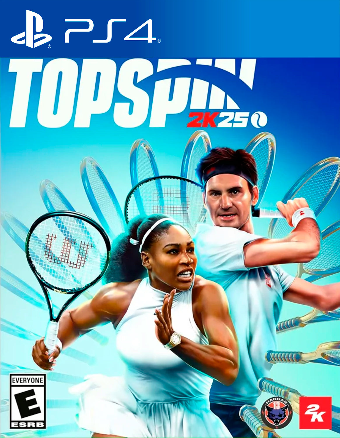 TopSpin 2K25 - PS4 Mídia Digital