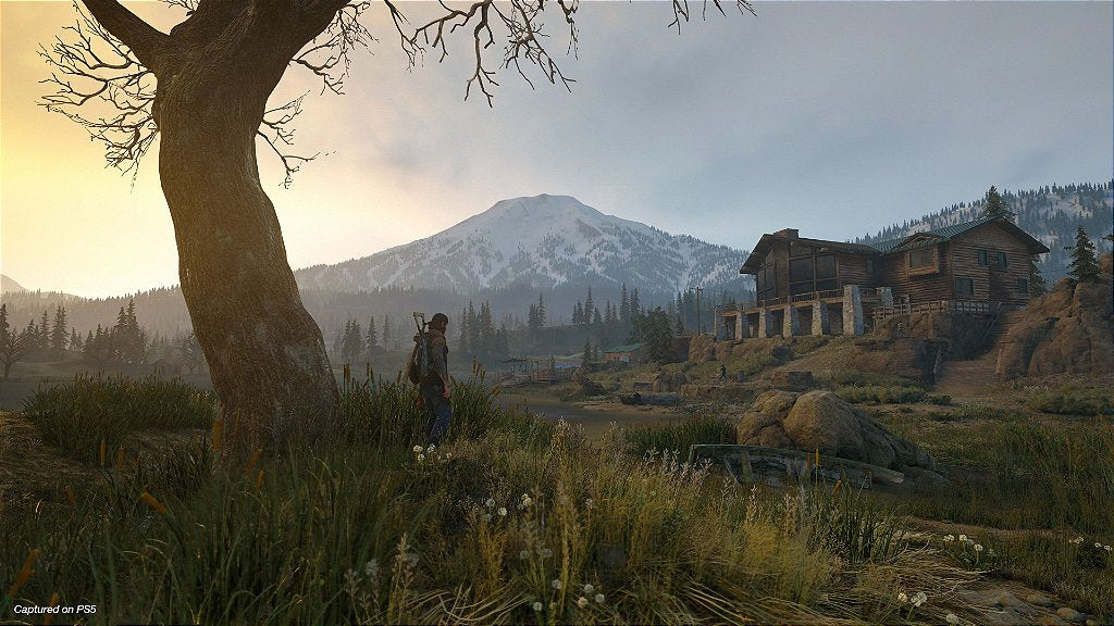 Days Gone - PS4 - Mídia Digital