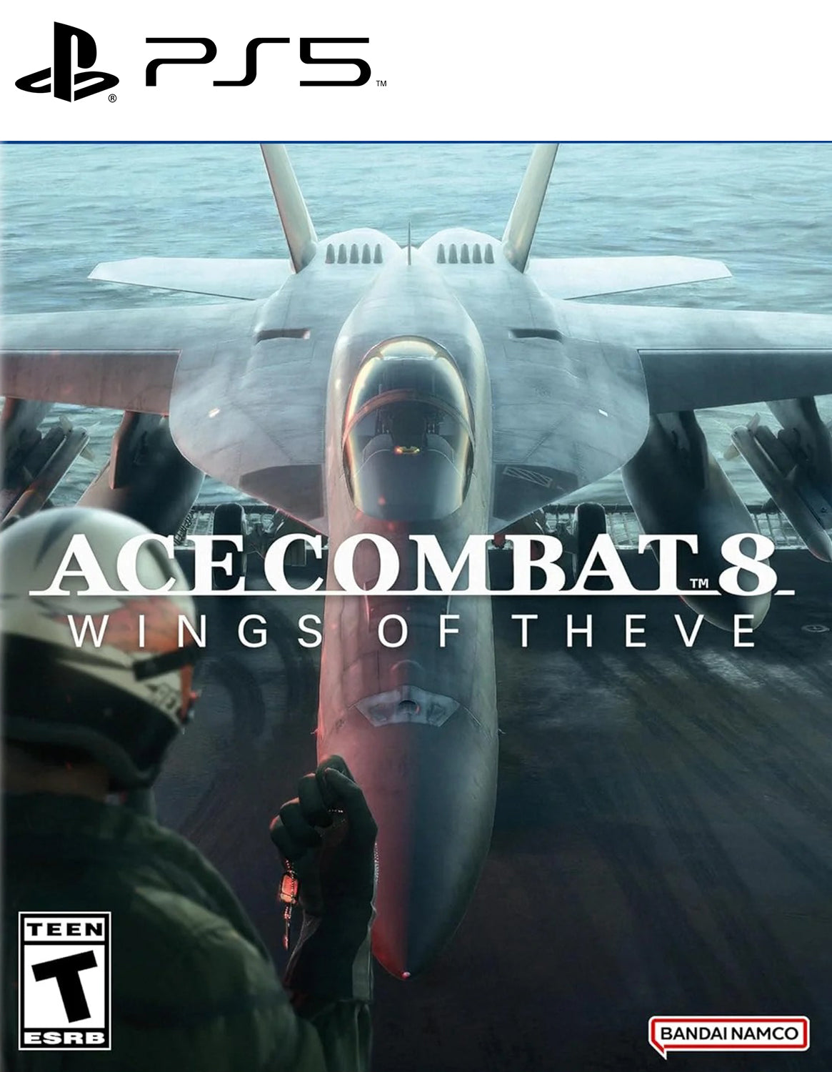 Ace Combat 8: Wings of Theve - PS5 Mídia Digital